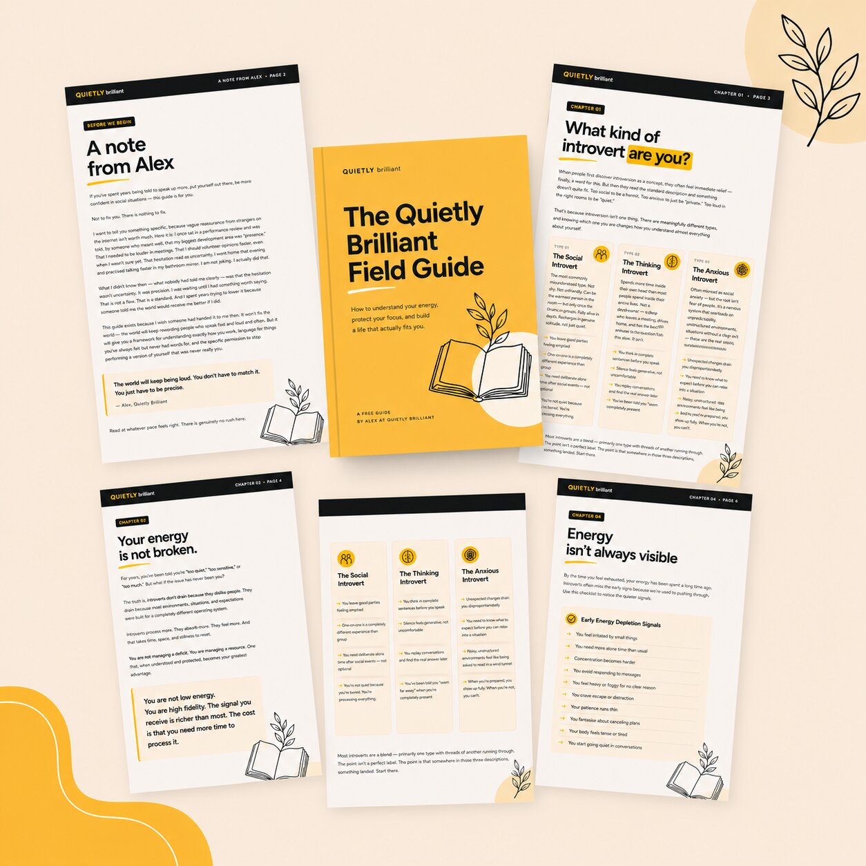 The Quietly Brilliant Field Guide — a free resource for introverts